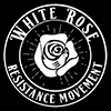 White Rose Mucho Grande – #SolutionsWatch