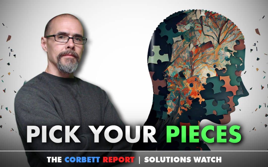 Pick Your Pieces – #SolutionsWatch