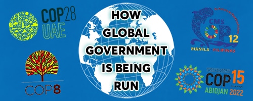 THIS is How Global Government is Run (and What’s Coming Next…)