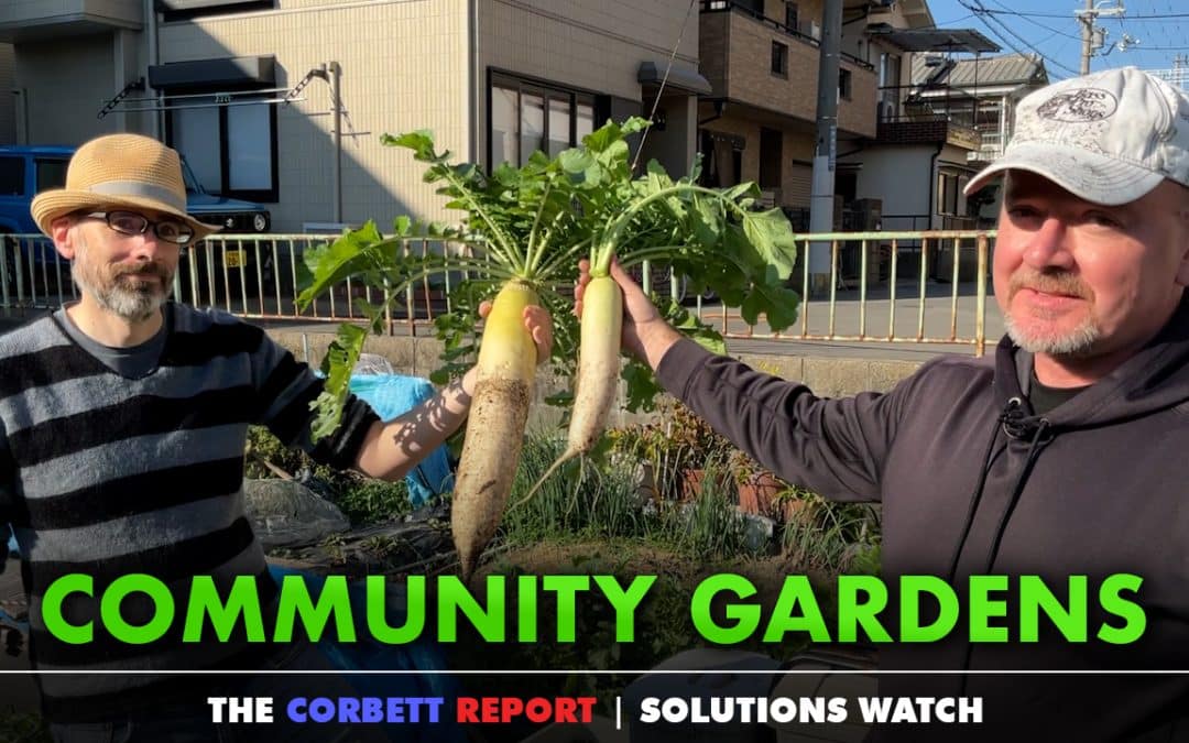 Community Gardens – #SolutionsWatch