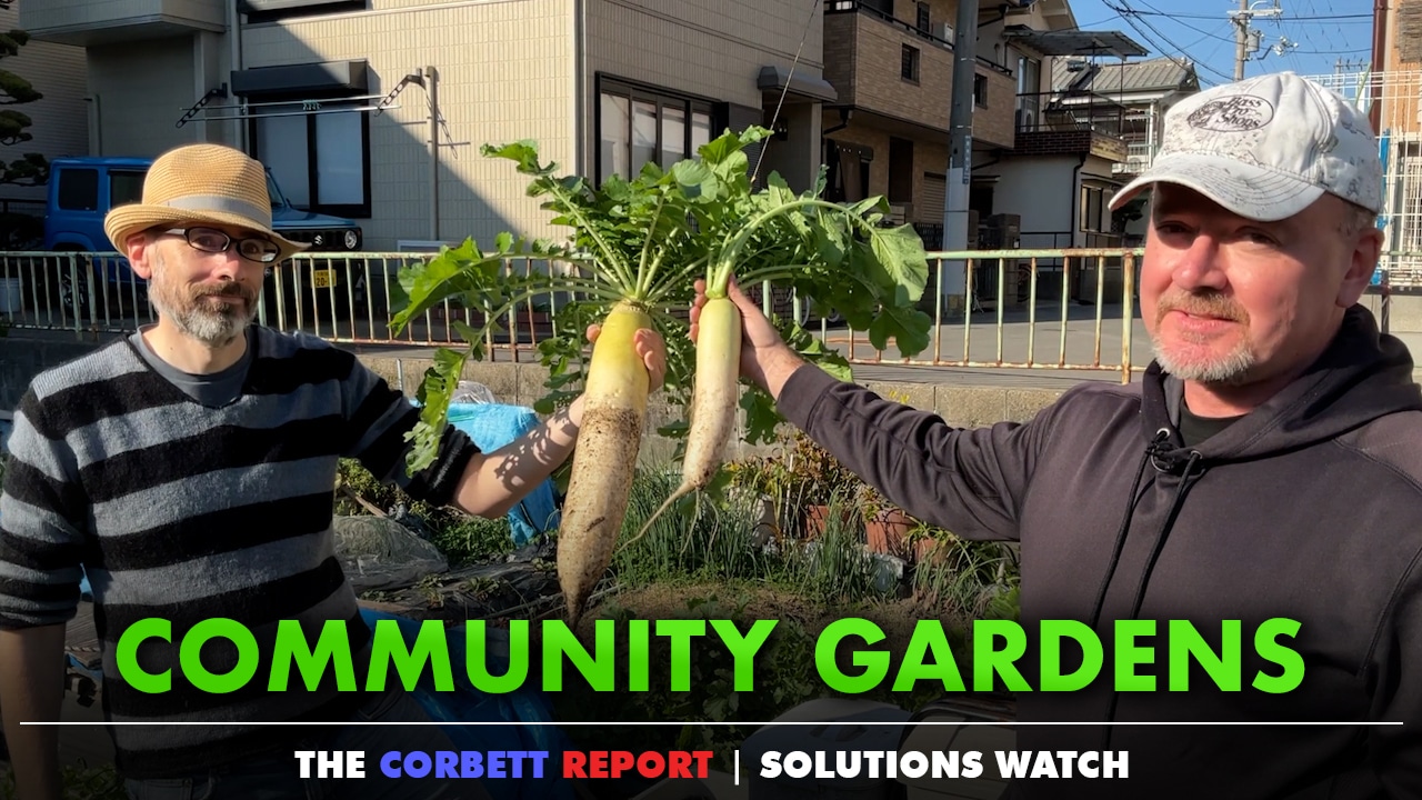 Community Gardens – #SolutionsWatch
