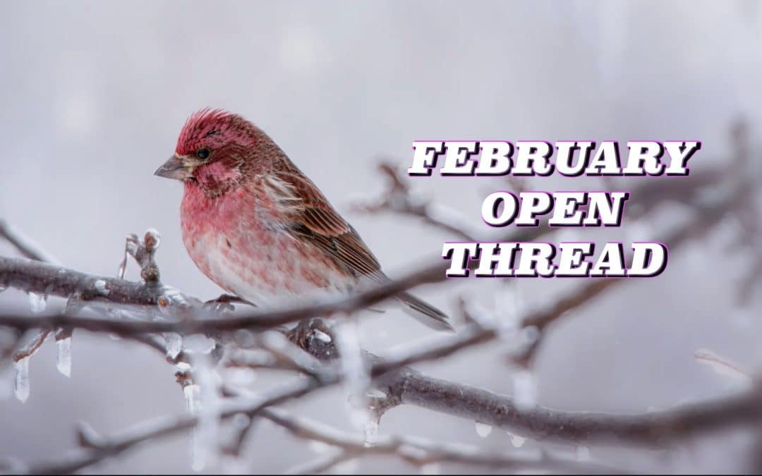 February Open Thread