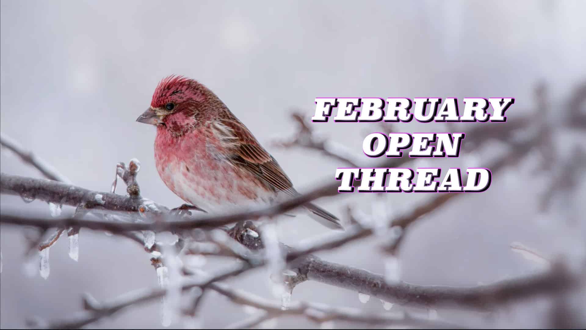 February Open Thread