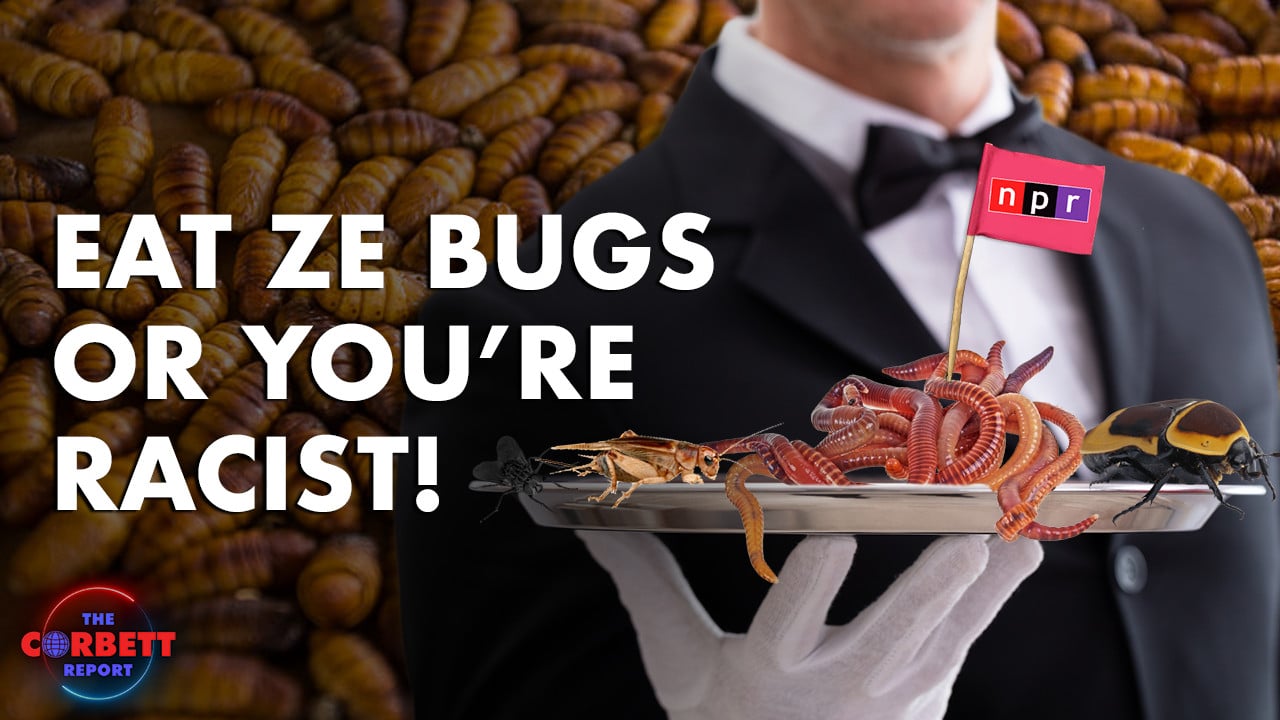 Eat Ze Bugs or You’re Racist! #PropagandaWatch