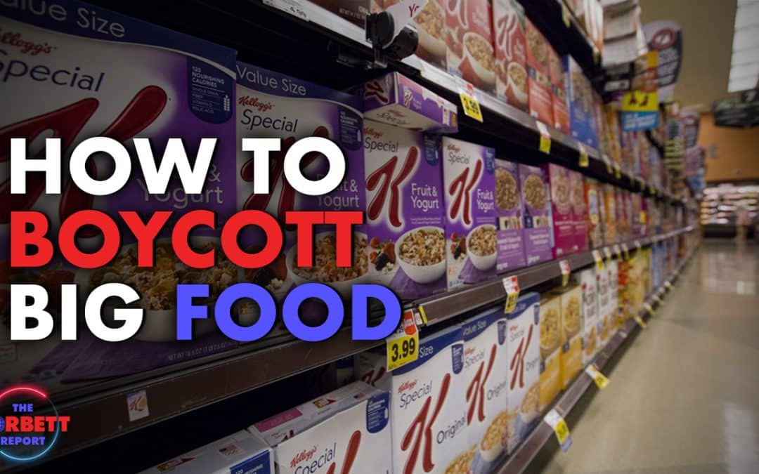 How to Boycott Big Food (2013)