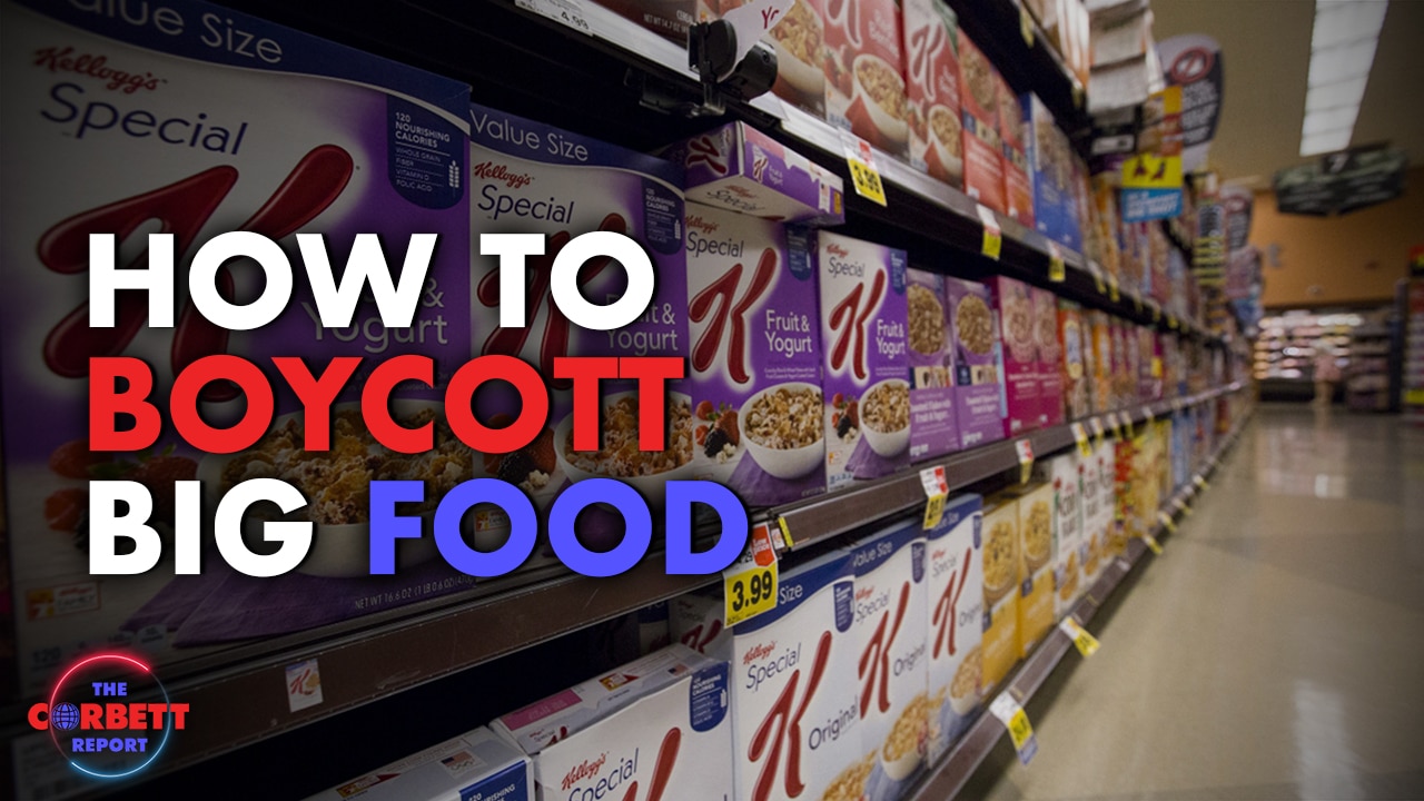 How to Boycott Big Food (2013)
