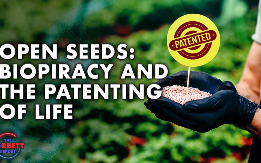 Open Seeds: Biopiracy and the Patenting of Life (2012)