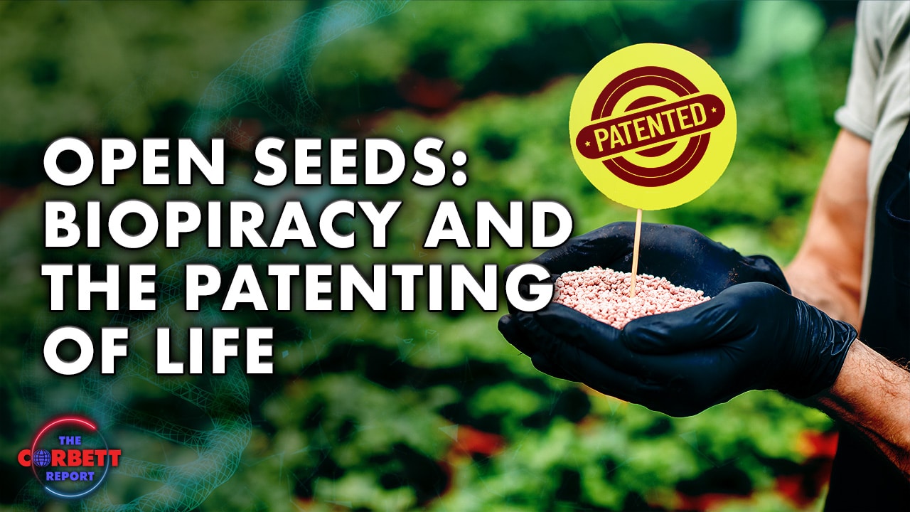 Open Seeds: Biopiracy and the Patenting of Life (2012)