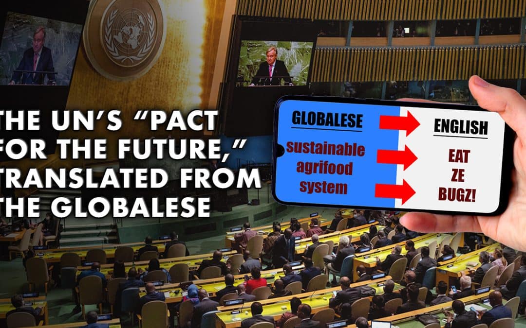 The UN’s “Pact for the Future,” Translated From the Globalese