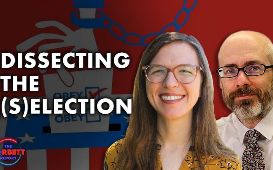 Interview 1907 – Dissecting the (s)Election with Whitney Webb