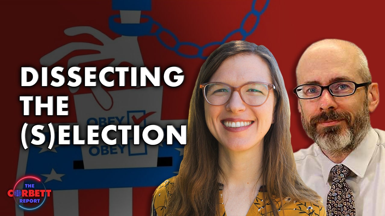 Interview 1907 – Dissecting the (s)Election with Whitney Webb