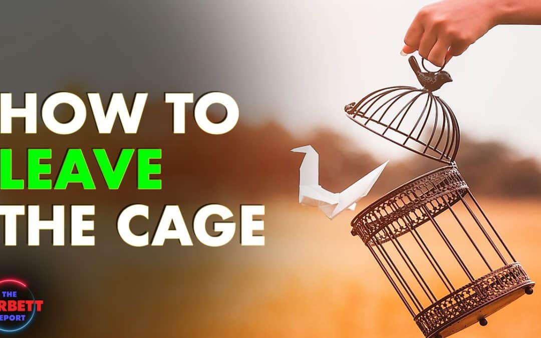How to Leave the Cage – #SolutionsWatch