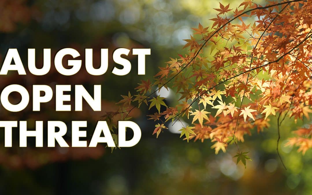 August Open Thread and Data Leak Update (2025)