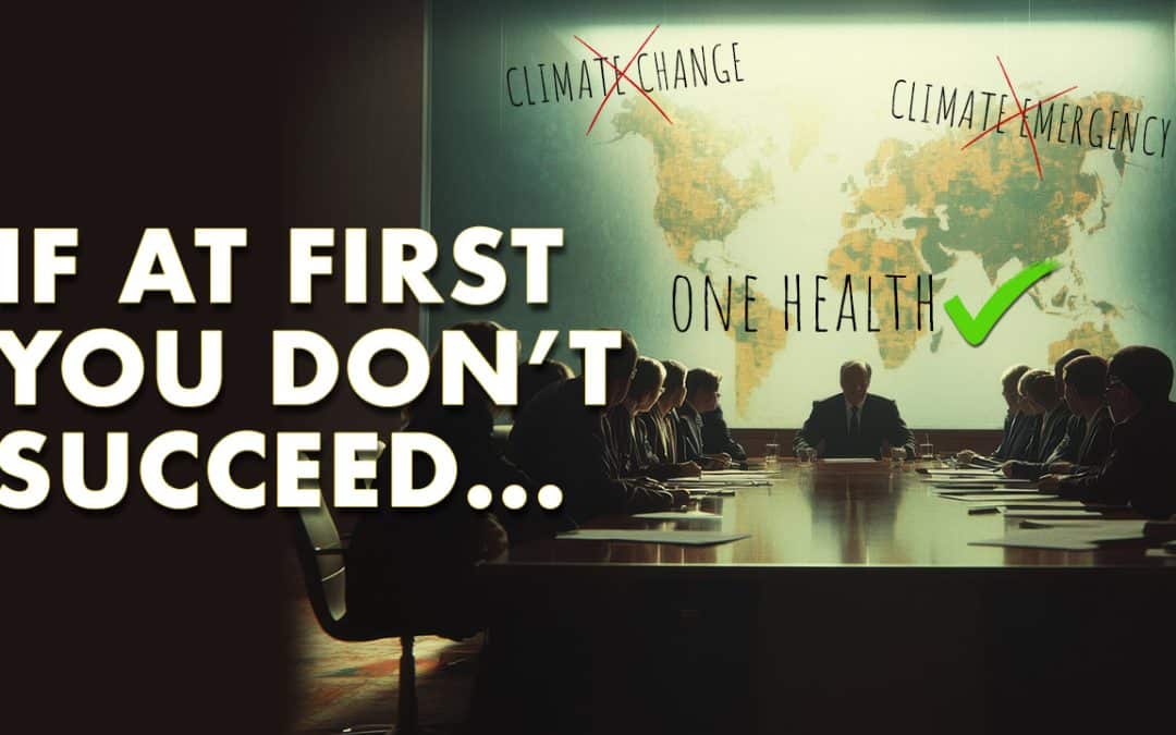 If At First You Don’t Succeed . . .