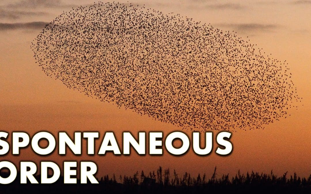 A Brief Introduction to Spontaneous Order