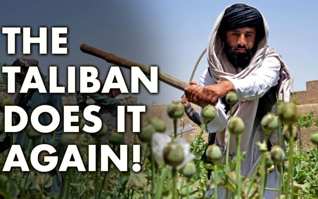 The Taliban Does It Again!