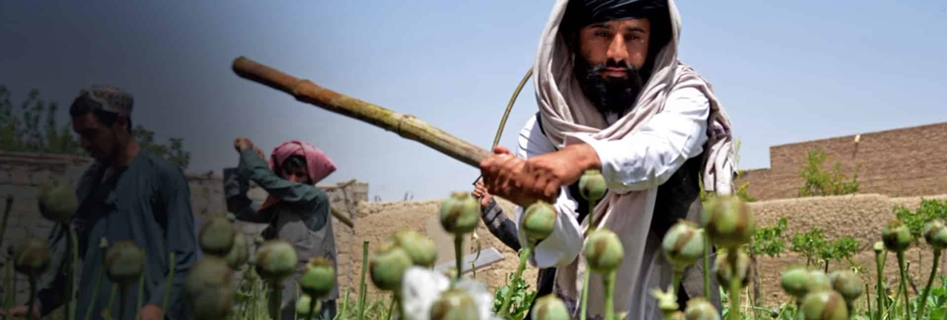 The Taliban Does It Again!