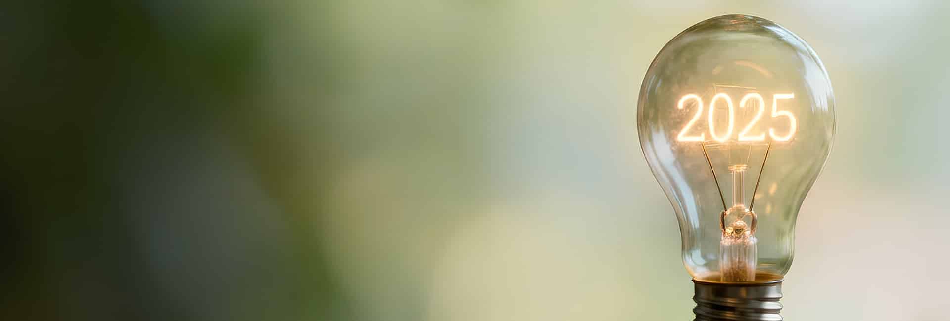 2025 Year in Review – #SolutionsWatch