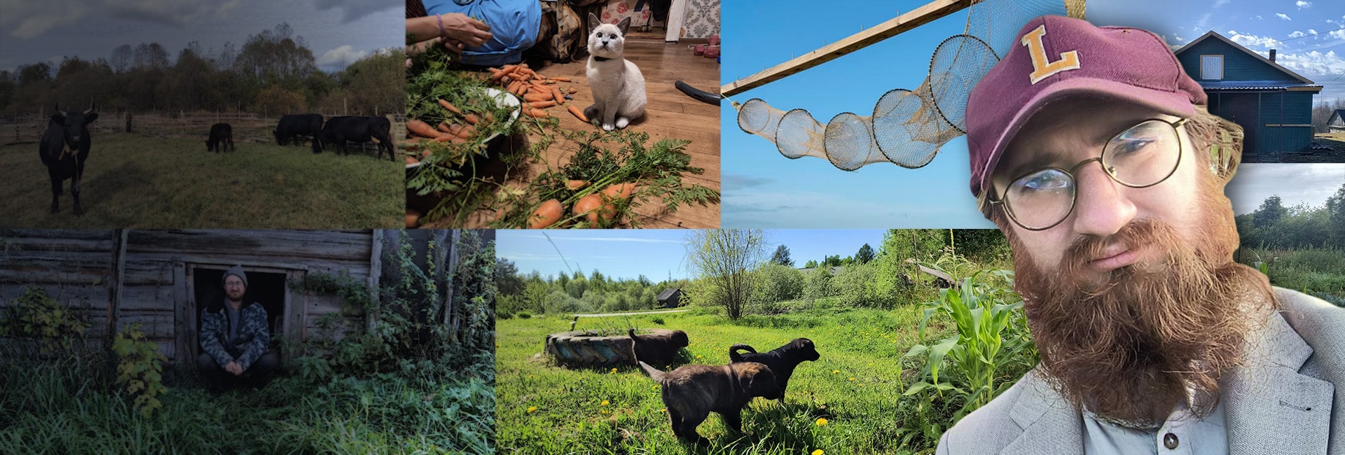 The Edward Institute: A Post-Mortem – #SolutionsWatch