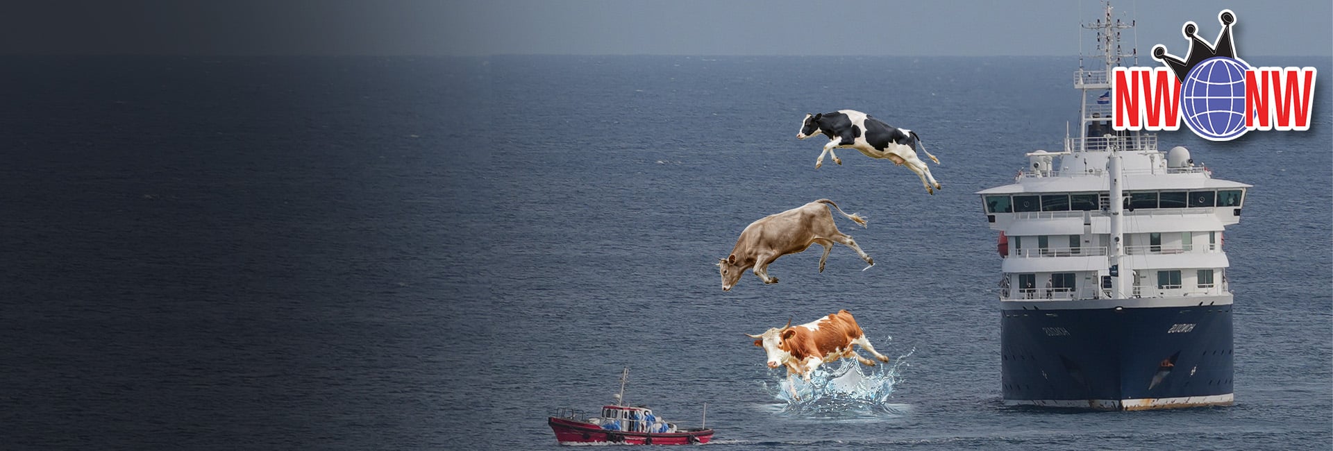 Interview 2015 – Throwing Sacred Cows Off Hantavirus Cruise Ships (NWNW #629)