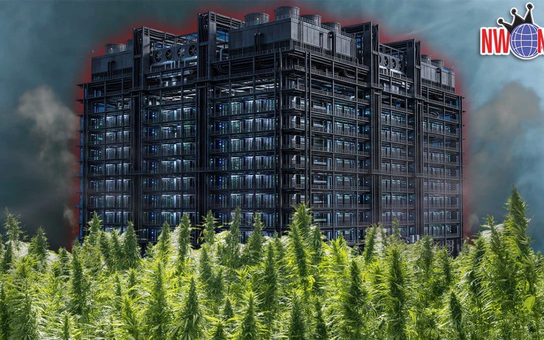 Interview 2032 – Guess Where They’re Building Data Centres Now… (NWNW #640)